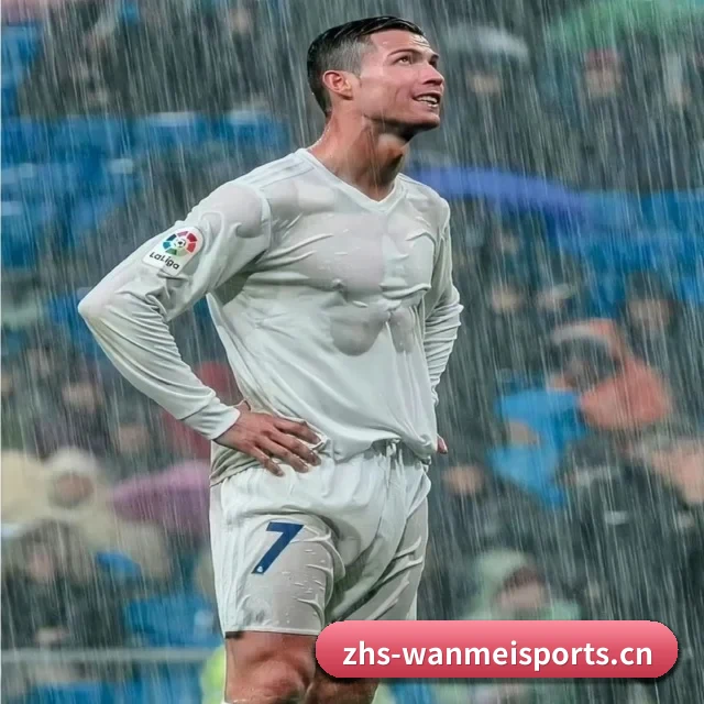 完美体育电脑端直连 APP