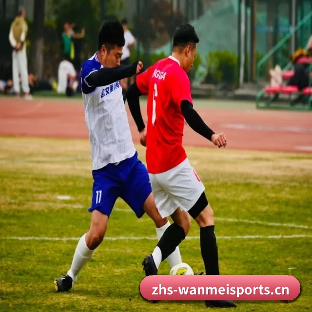 五大服务分区,信息按项目分类 - 多运动项目内容板块